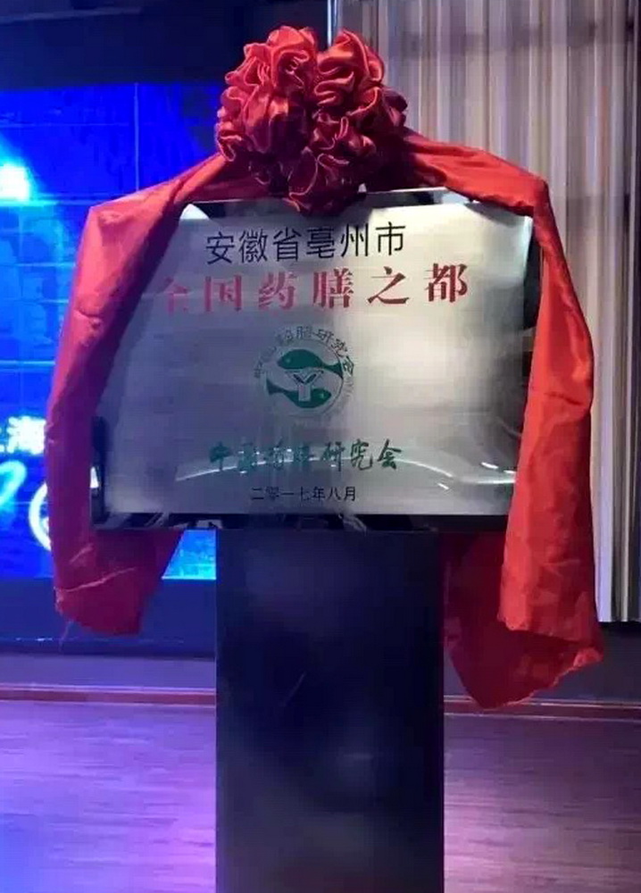 4全国药膳之都牌匾.JPG